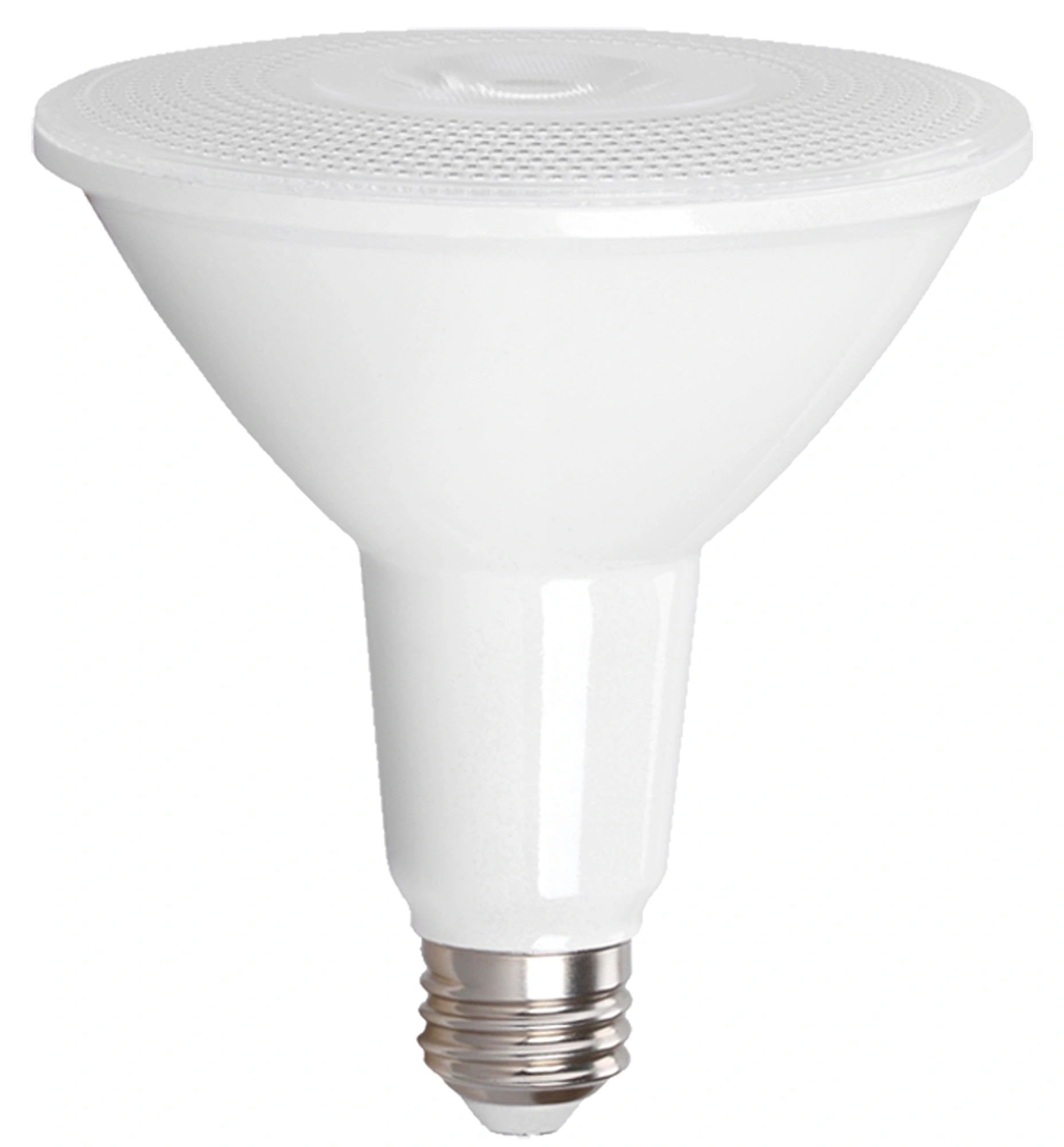 PAR38 Directional LED Bulb Set